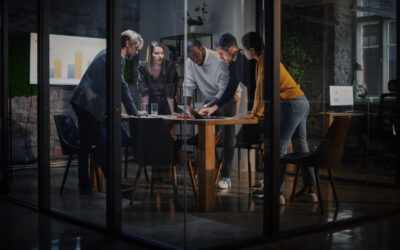 Selecting a Strategic Software Partner